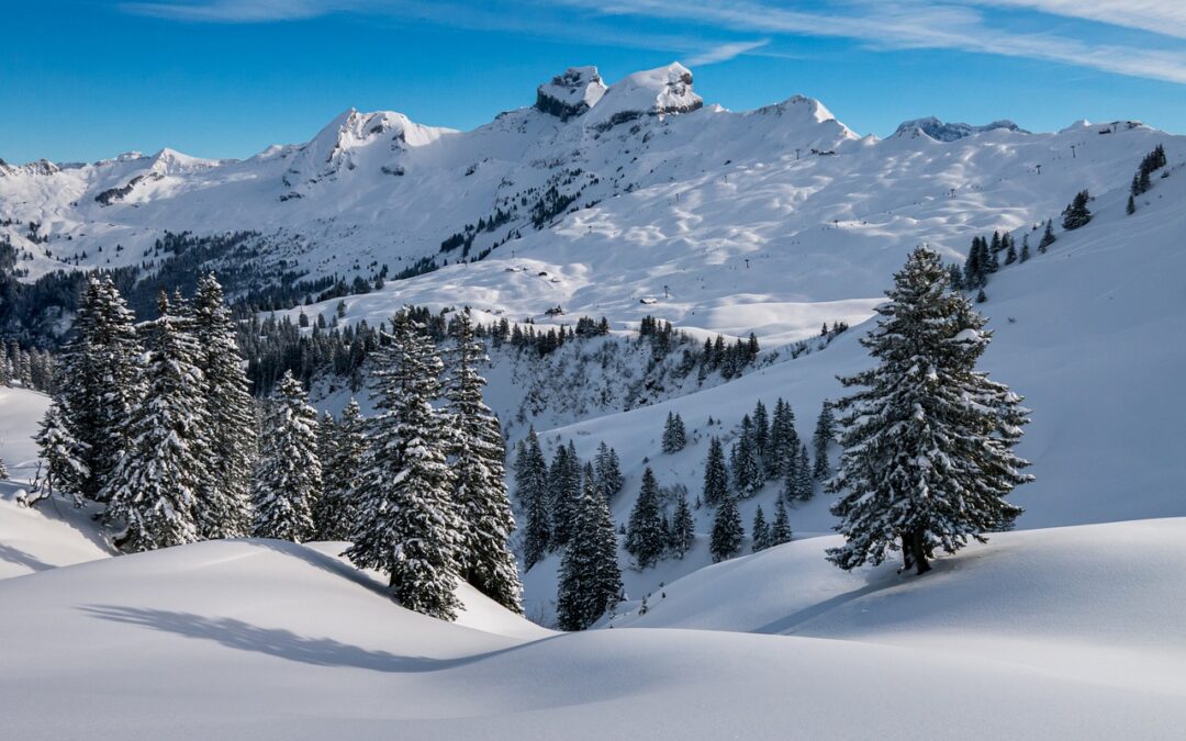 Guided Snow Cat Tours With Professional Photographers ~ Unveiling The…