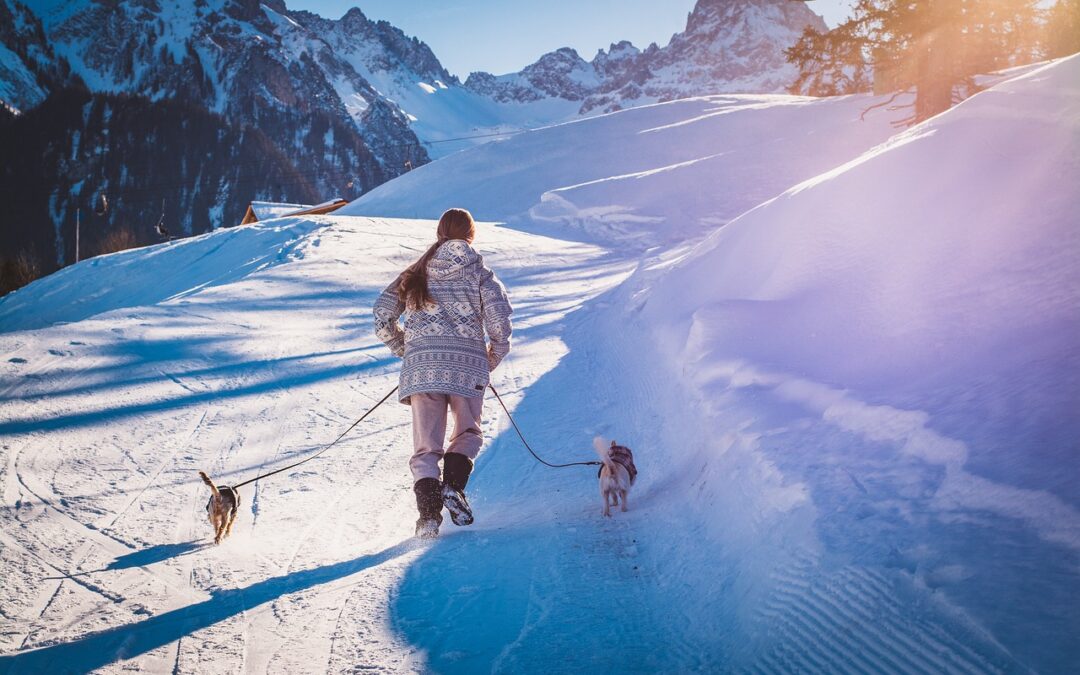 Guided Snow Cat Tours With Professional Guides / Embark On…