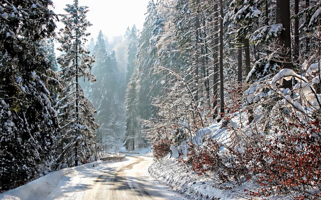 “Luxury” Snowcat Tours Steamboat Springs | Experience The Magic Of…