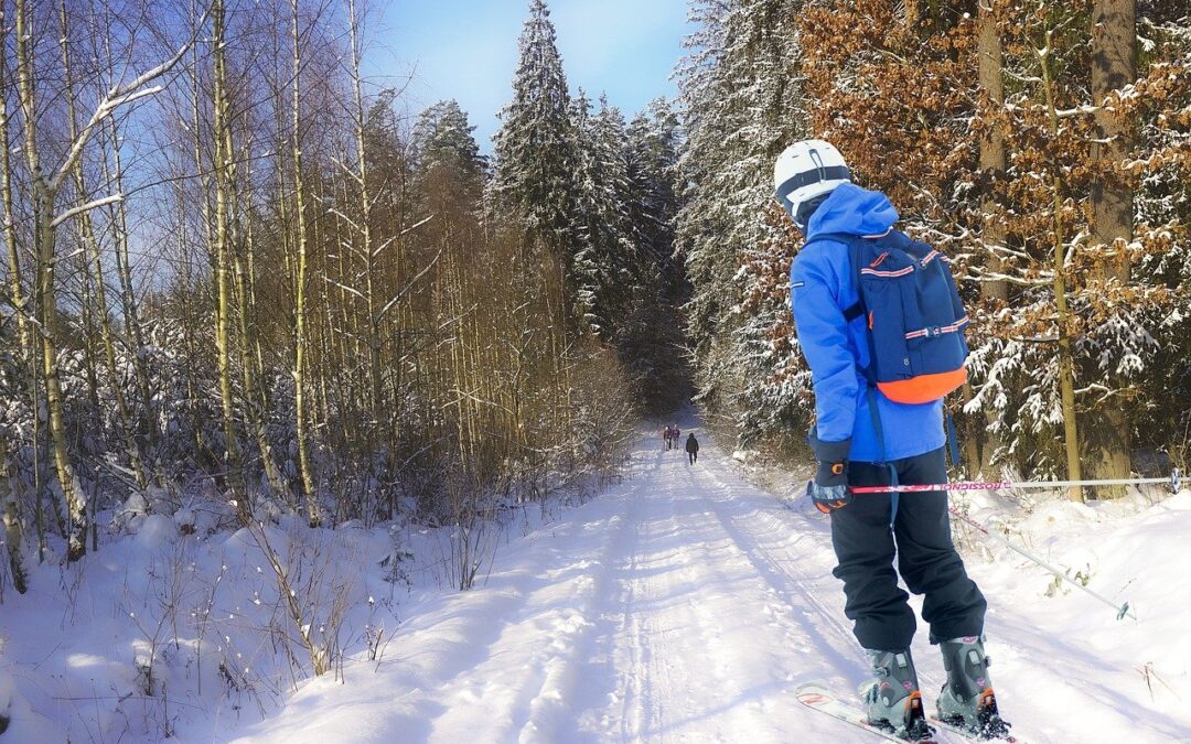 Off-piste Snowcat Skiing / Unveiling The Untamed Beauty Of Snowcat…