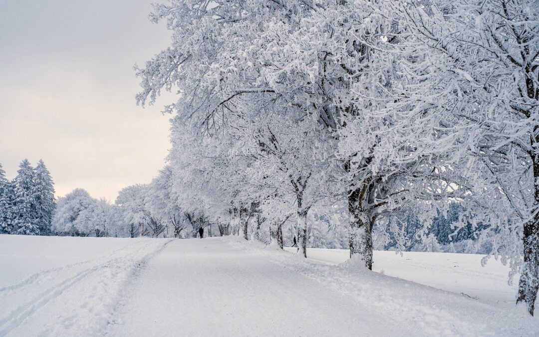 Popular Snowcat Tours In The United States / Unveiling The…