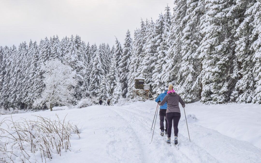 Powdercat Ski Safaris – Unleash The Adventure: Snowcat Tours In…