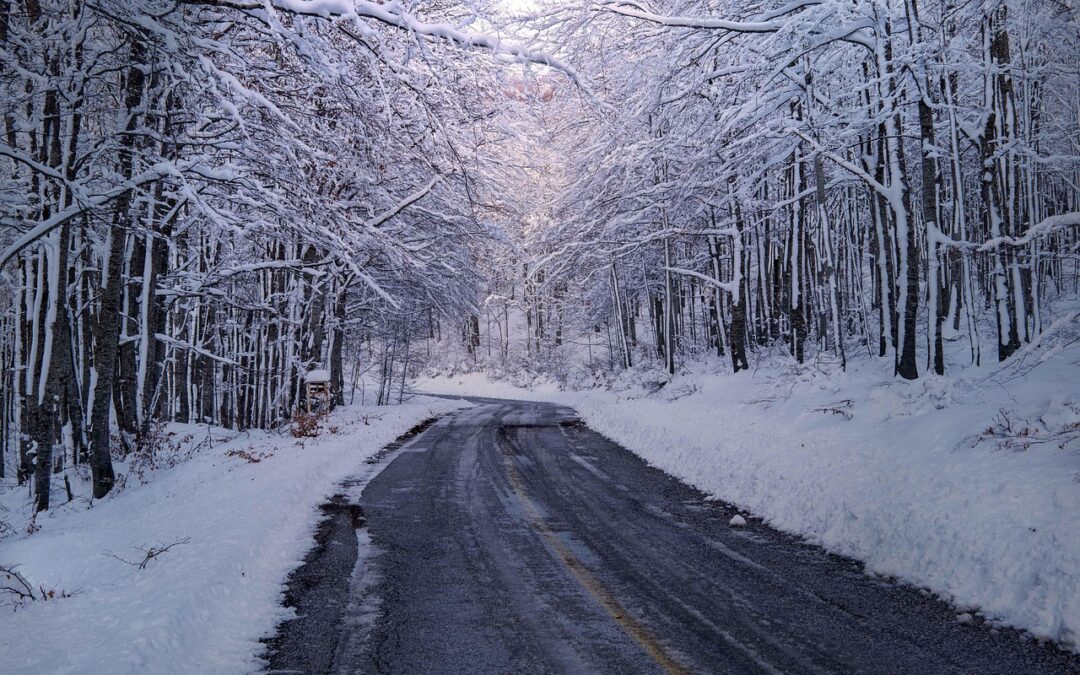 Snow Cat Tours For Veterans With Expert Guides: Snow Cat…