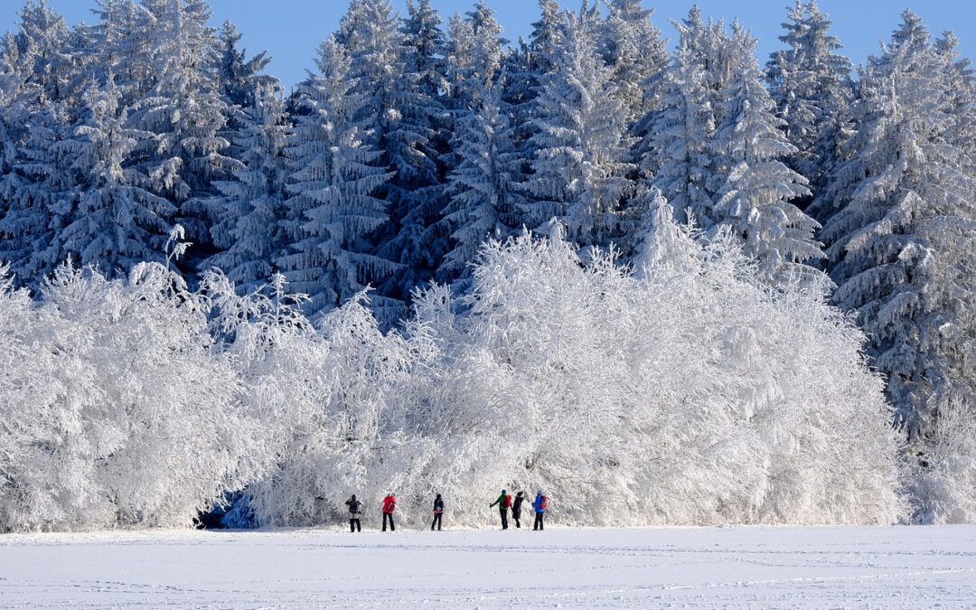 Snow Cat Tours Near Steamboat Springs With Guides: Title: Unleashing…