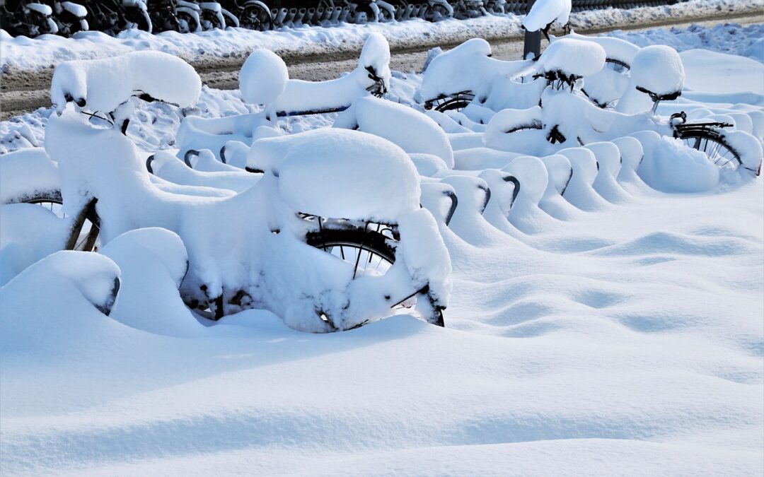 Snow Cat Tours With Photography Opportunities – Unveiling The Untamed…