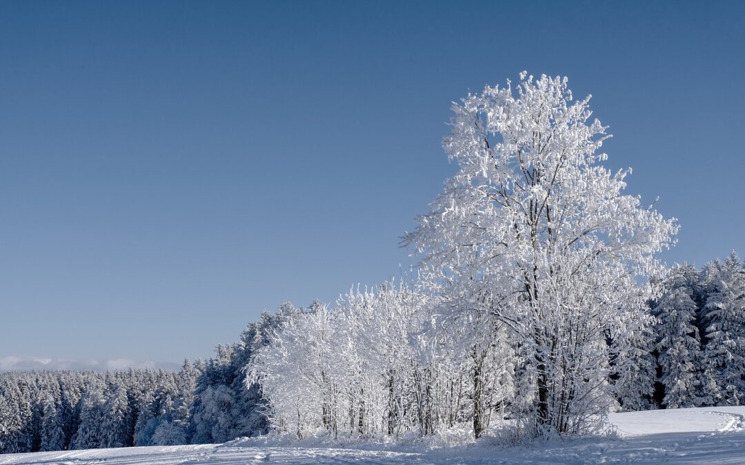 “Snowcat Tours For Photographers Steamboat Springs” / Title: Immerse Yourself…