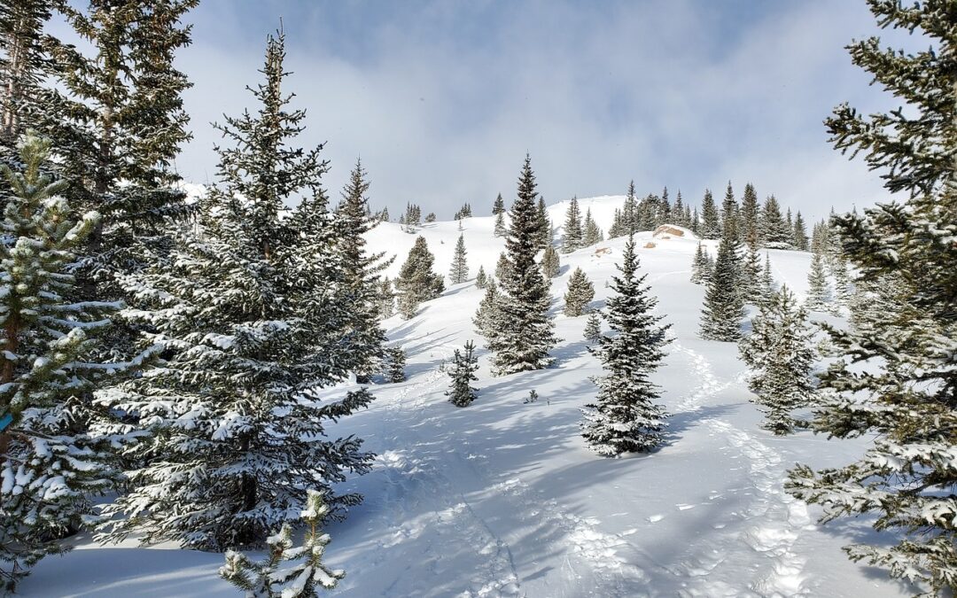 Snowcat Tours In Colorado ~ Snowcat Tours: Embark On An…