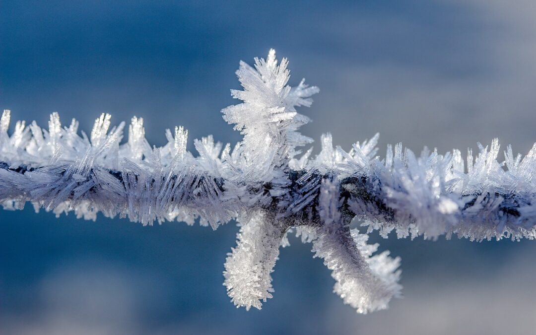 Snowcat Tours In Snowy Conditions: Unveiling The Enchanting World Of…