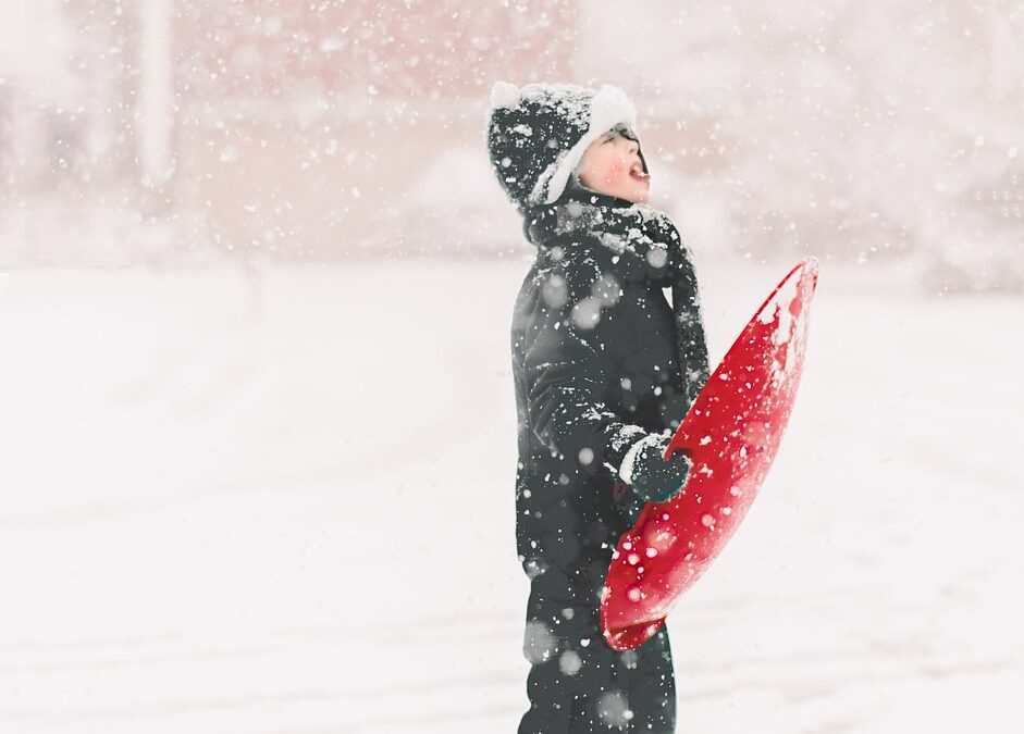 Snowcat Tours In Snowy Conditions | Snowcat Tours Unveil The…