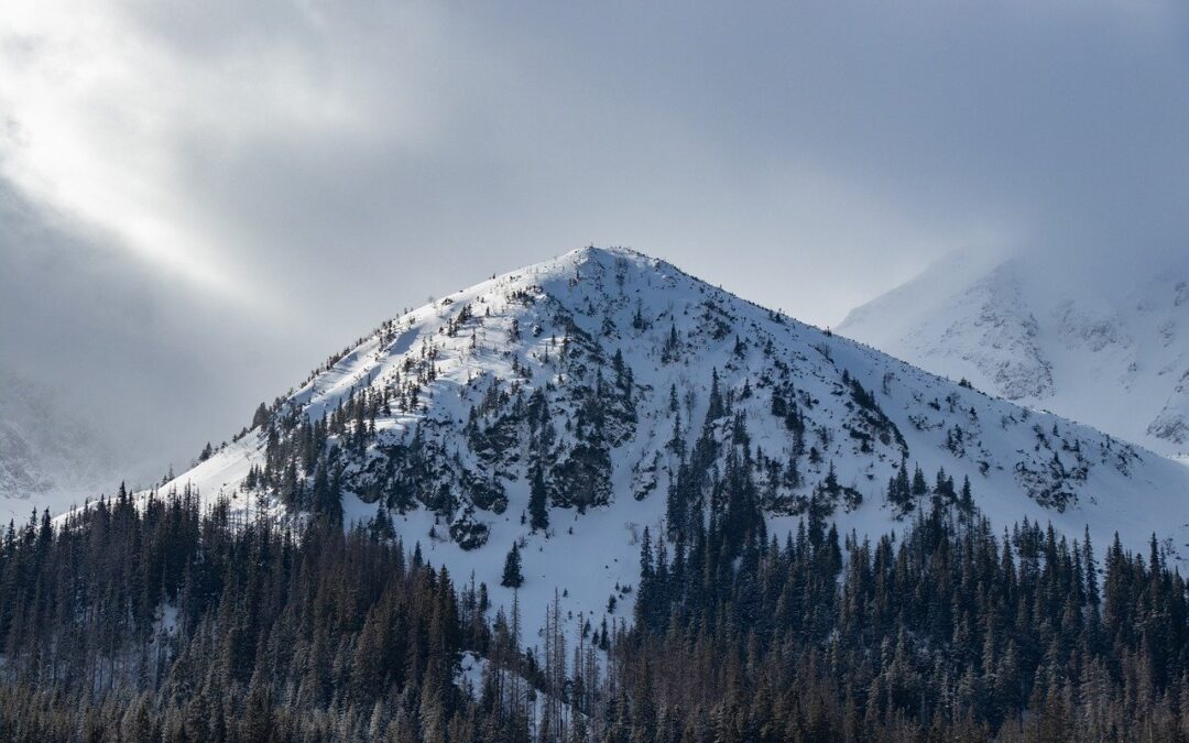 Snowcat Breakfast Excursions: Embark On A Snowcat Breakfast Sojourn In…