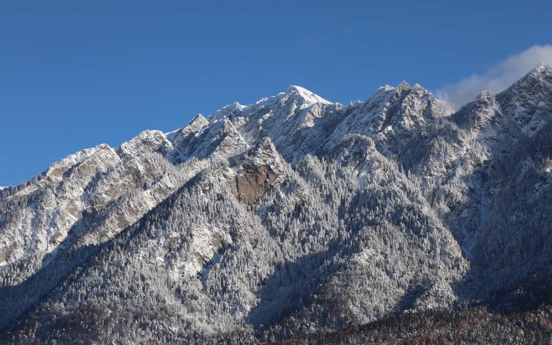 Snowcat Charter Tours For Enlisted Personnel With Group Discounts -…