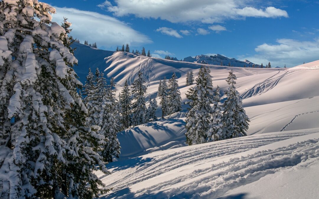 Snowcat Charter Tours For Thrill-seekers – Embark On The Snowy…