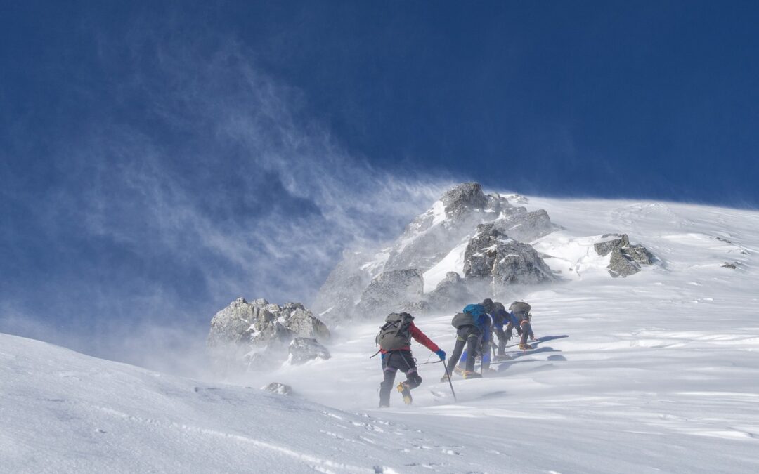 Snowcat Charter Tours For Veterans With Wildlife Viewing | Snowcat…