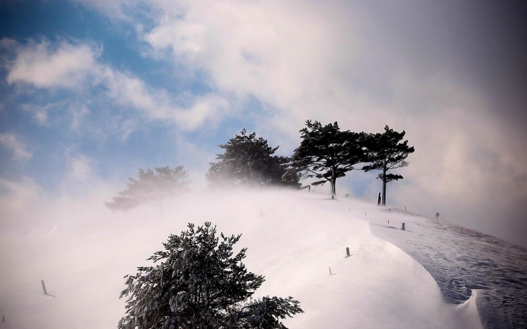 Snowcat Charter Tours Honoring Enlisted Service Members – Embark On…