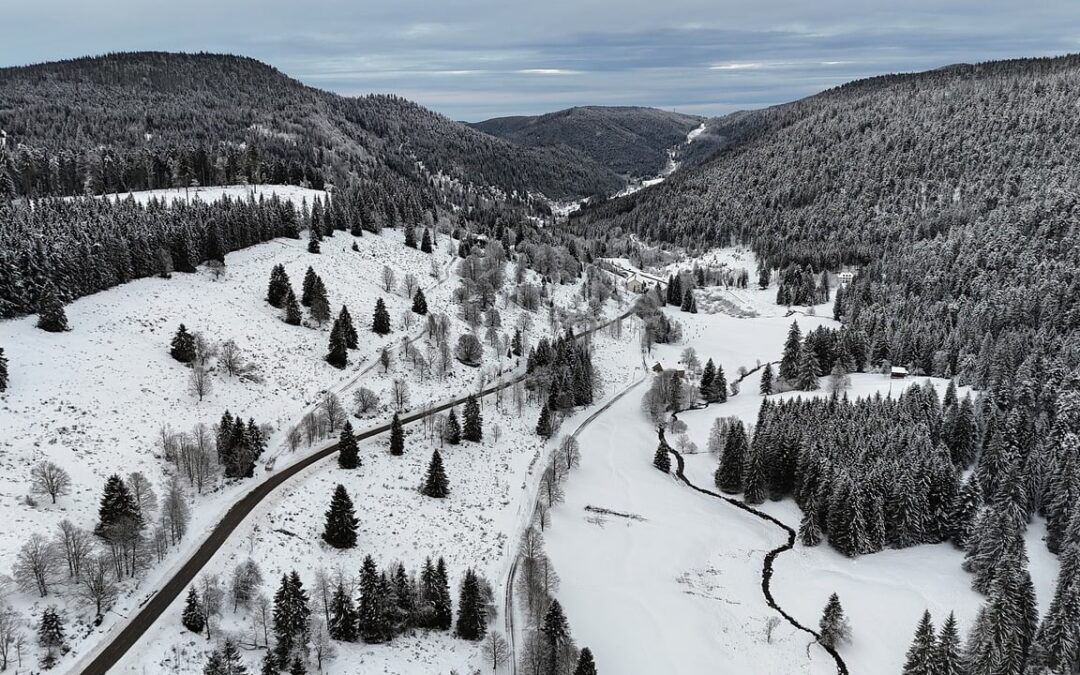 Snowcat Charter Tours With Photography » Embark On A Majestic…