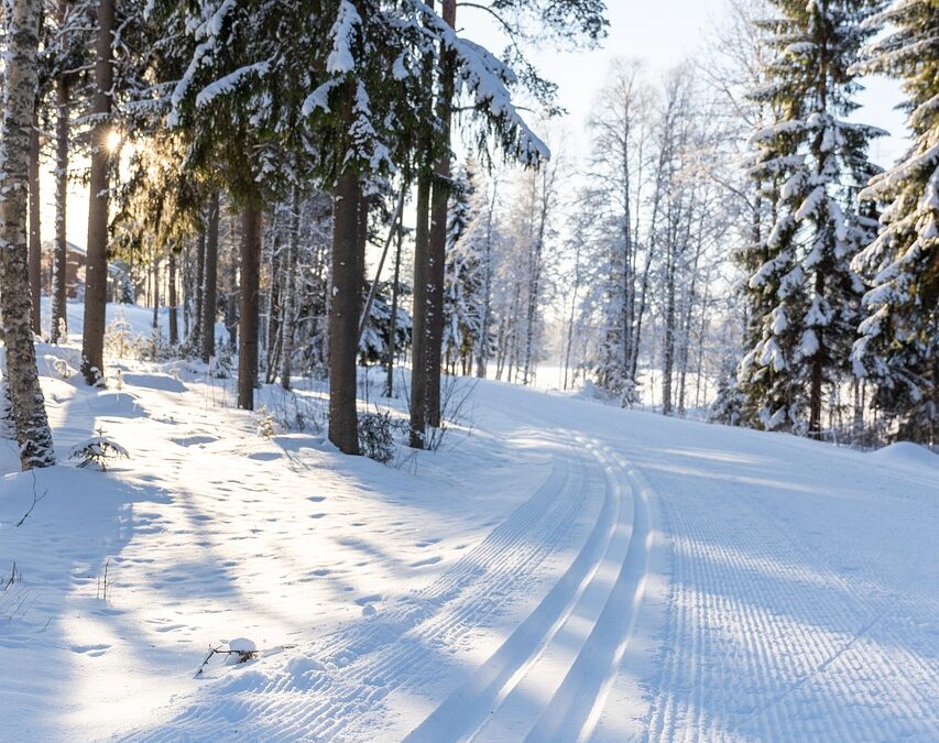 Snowcat Skiing For Denver Locals: Unveiling The Untamed Beauty Of…