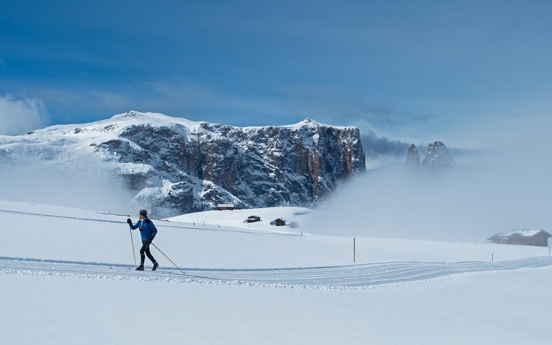 Snowcat Skiing For Denver Residents – Snowcat Tours: A Thrilling…