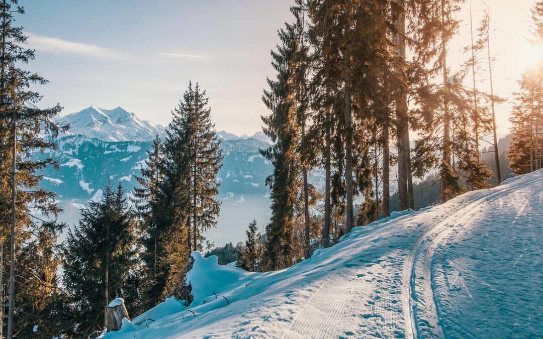 Snowcat Skiing Tours Steamboat Springs: Gliding Through The Snowy Serenity:…