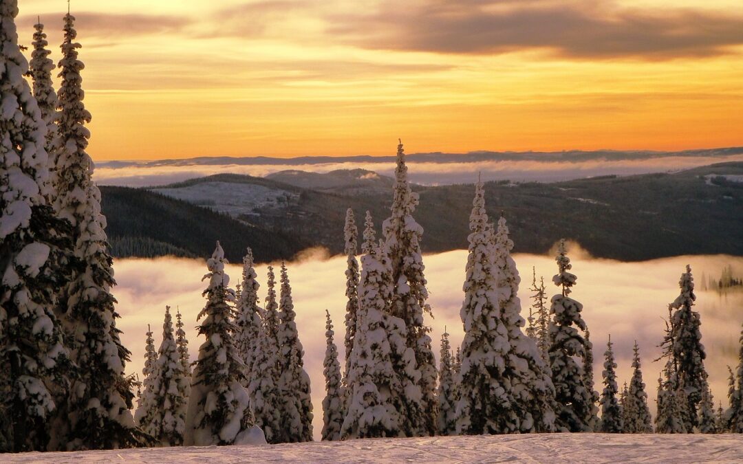 “Snowcat Tours For Adventure Seekers Steamboat Springs” | Snowcat Tours:…