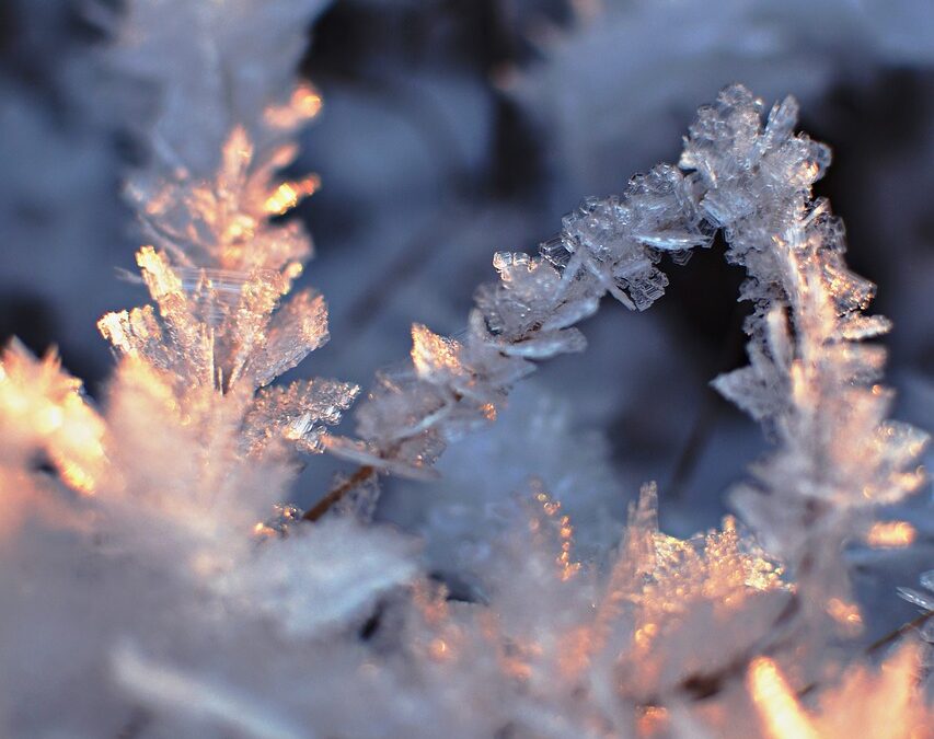 “Snowcat Tours For Nature Lovers Steamboat Springs” » Snowcat Explorations:…