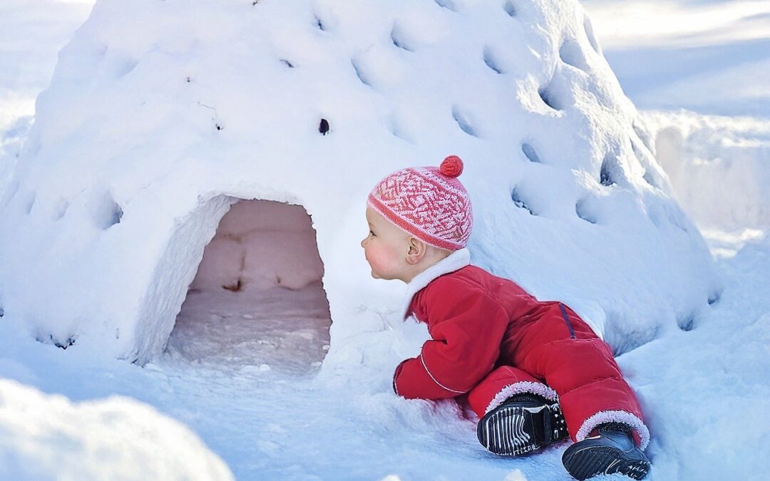 Snowcat Tours For Out-of-state Visitors » Snowbound Serendipity: Exploring Emerald…