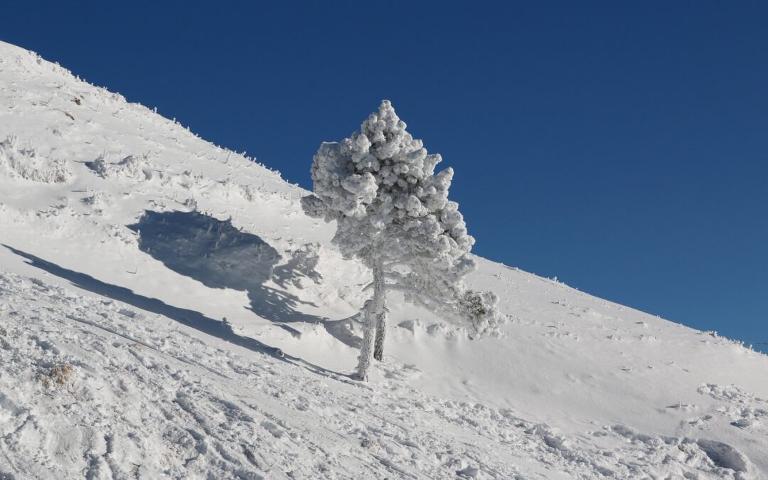 Snowcat Tours In Iconic American Locations ~ Hop On The…