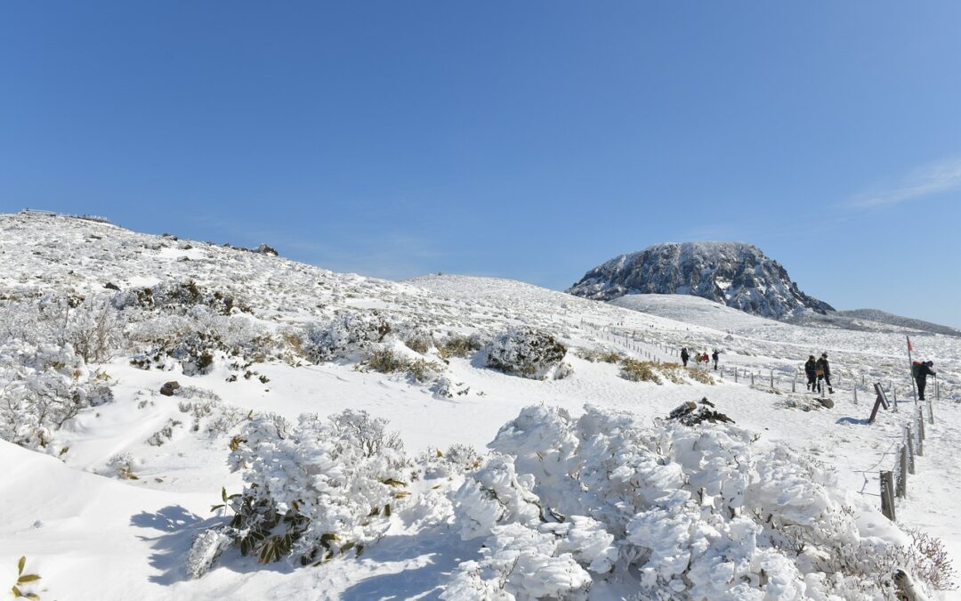 “Ultimate Snowcat Tours Steamboat Springs” » Embark On An Unforgettable…