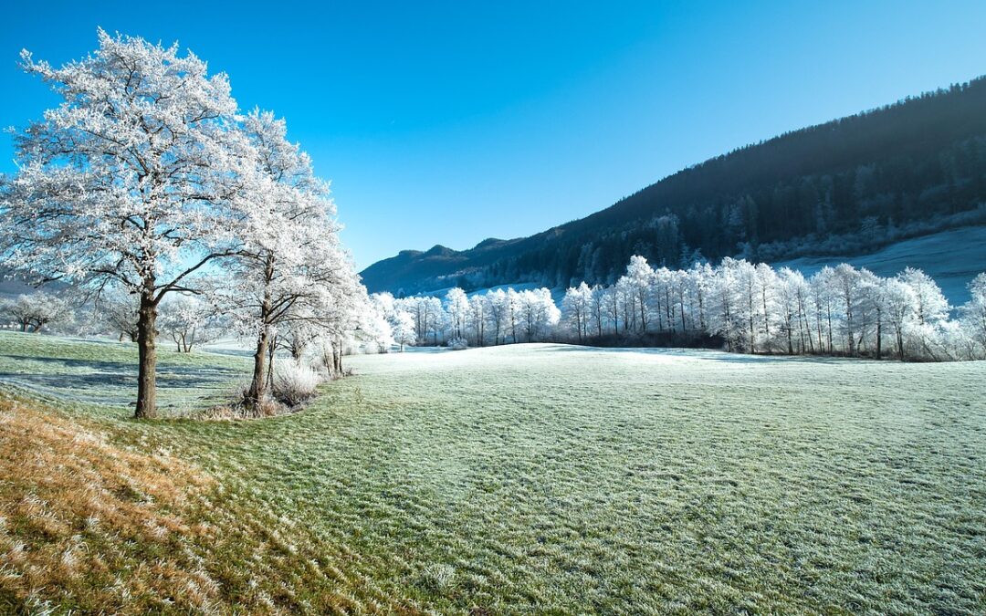 Winter Tours Steamboat Springs – Unveiling The Enchanting Winter Wonderland…