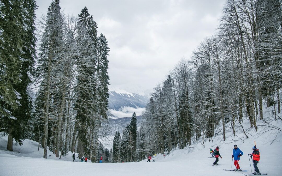 Backcountry Snowcat Skiing » Snowcat Tours: Embark On A Snowy…