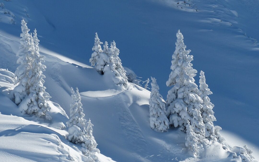 Guided Snow Cat Tours For Beginners ~ Beyond Bounds: Embark…