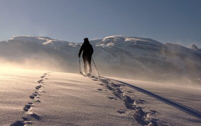 Powdercat Tours Steamboat Springs » Unveiling The Thrill Of Snowcat…