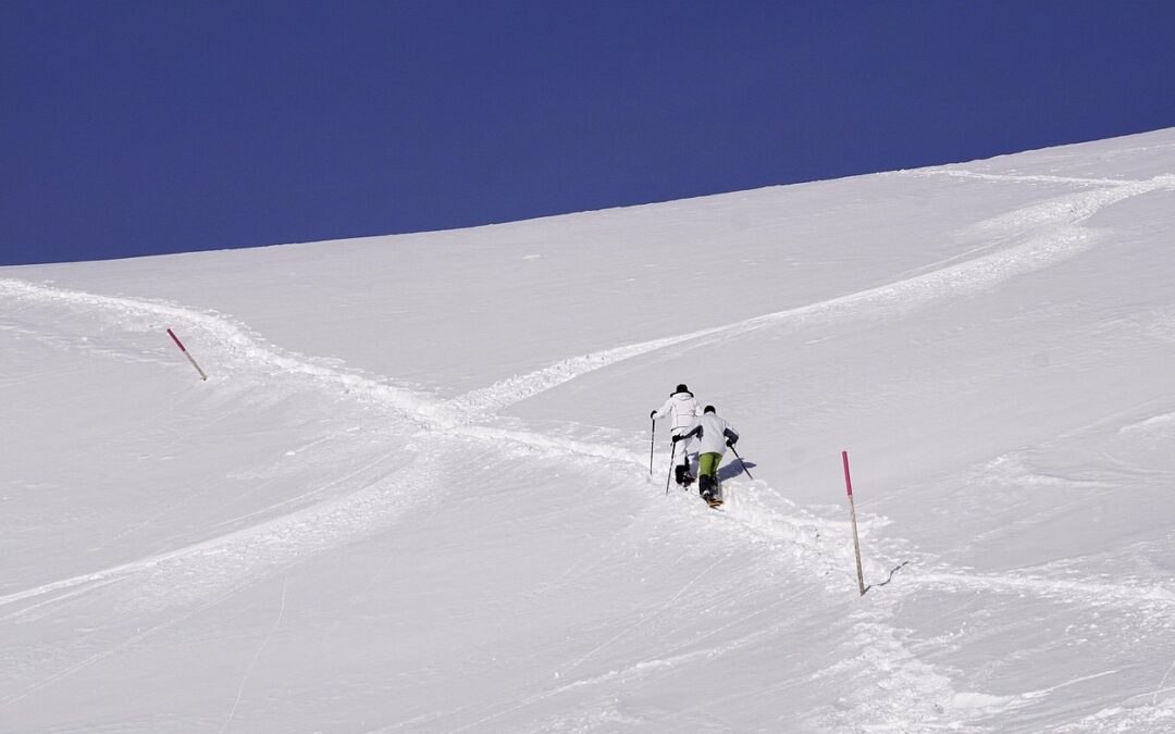 Snowcat Tours Steamboat Springs For Beginners – Snowcat Tours In…