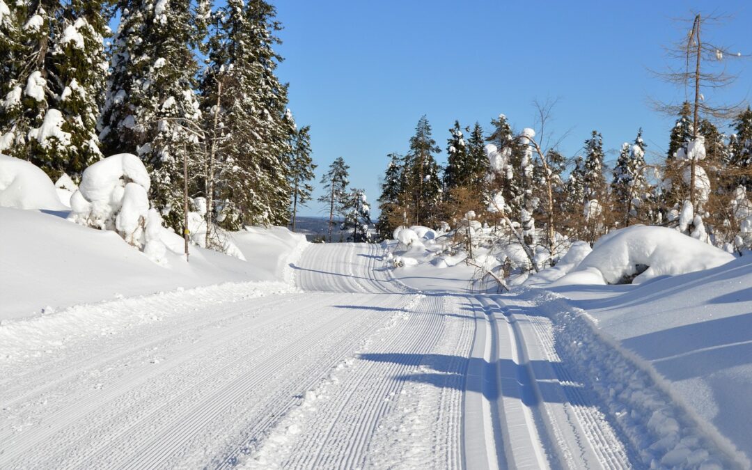 Snowcat Skiing / Ride The Wild Side: Snowcat Skiing In…