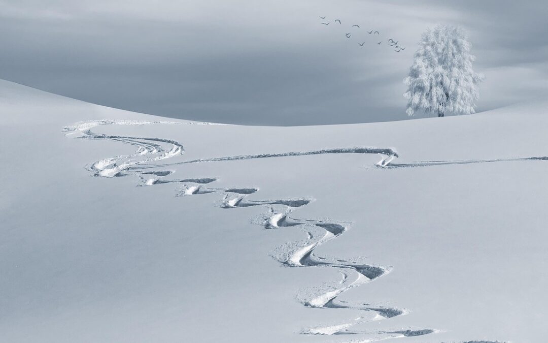 Historical Guided Snow Cat Tours ~ TL;DR (Too Long; Didn’t…