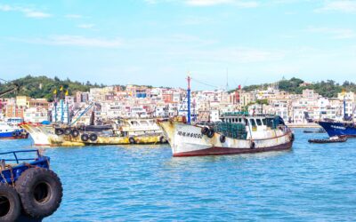 Alaskan Fishing Cruises / Snowy Adventures & Fishing Dreams: Unforgettable…