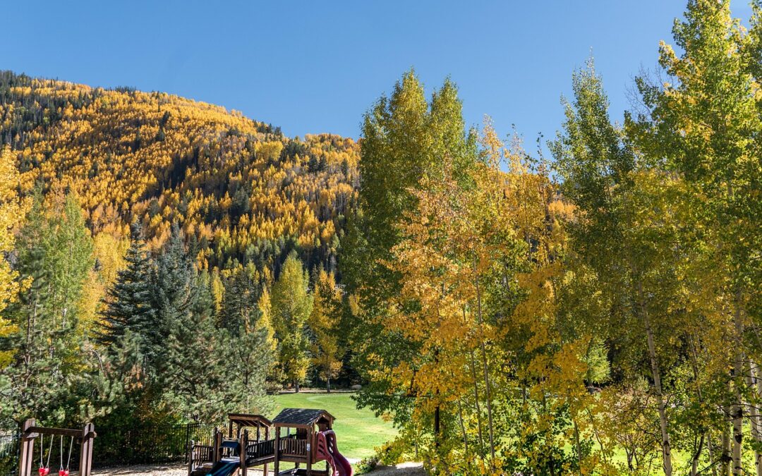Explore Colorado’s Mountains – Hop Aboard! Your Awesome Snowcat Adventure…