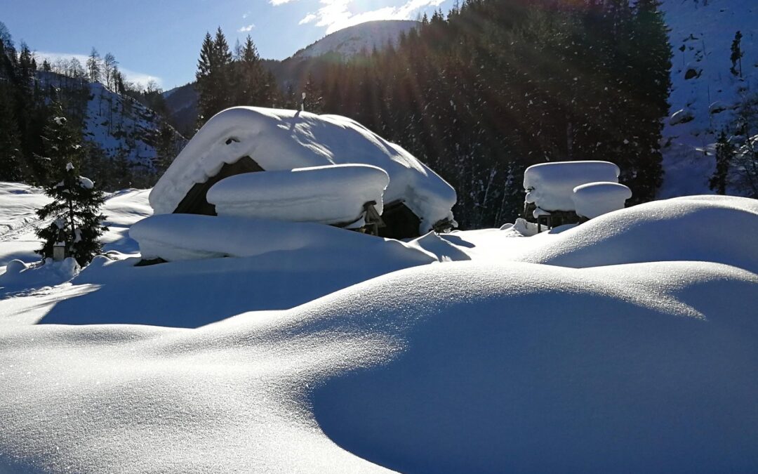 Free Snow Cat Tours With Professional Guides – Glide Into…