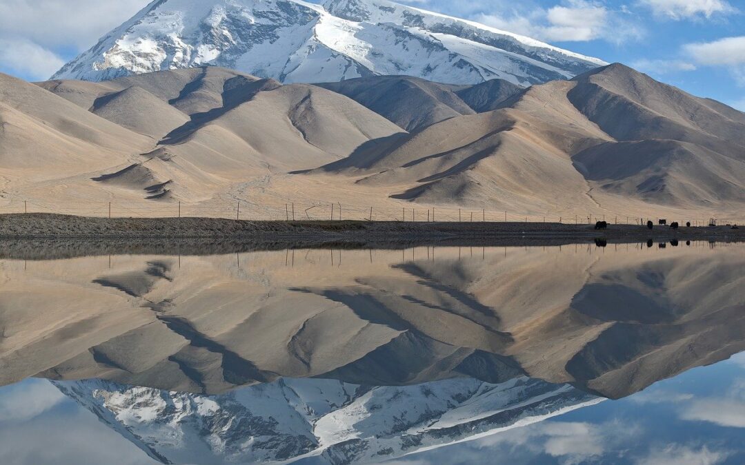 Scenic Snow Cat Tours With Guides – Absolutely! Here’s A…